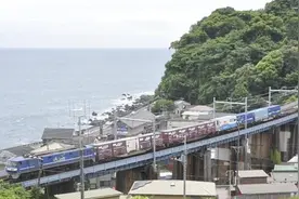 涉嫌数据造假 日本对该国最大货运列车企业现场检查图片