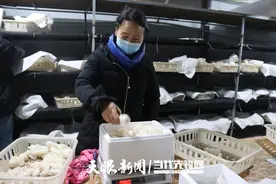 小竹荪撑起“致富伞”图片