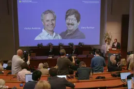 两位科学家获诺贝尔生理学或医学奖，一文梳理奖项来源及得主图片