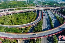 广西南宁：立交桥“鲜花镶边”营造秋日浪漫图片