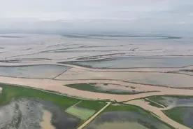 聚焦中央生态环保督察｜围湖造地、圈水养殖……鄱阳湖水域非法矮围何时休？图片