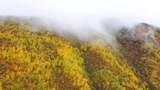 以东方美学观定西：黄土里的千年风雅