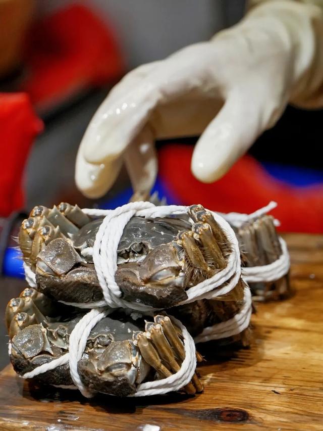 绿→黄，姑苏秋意进行时......