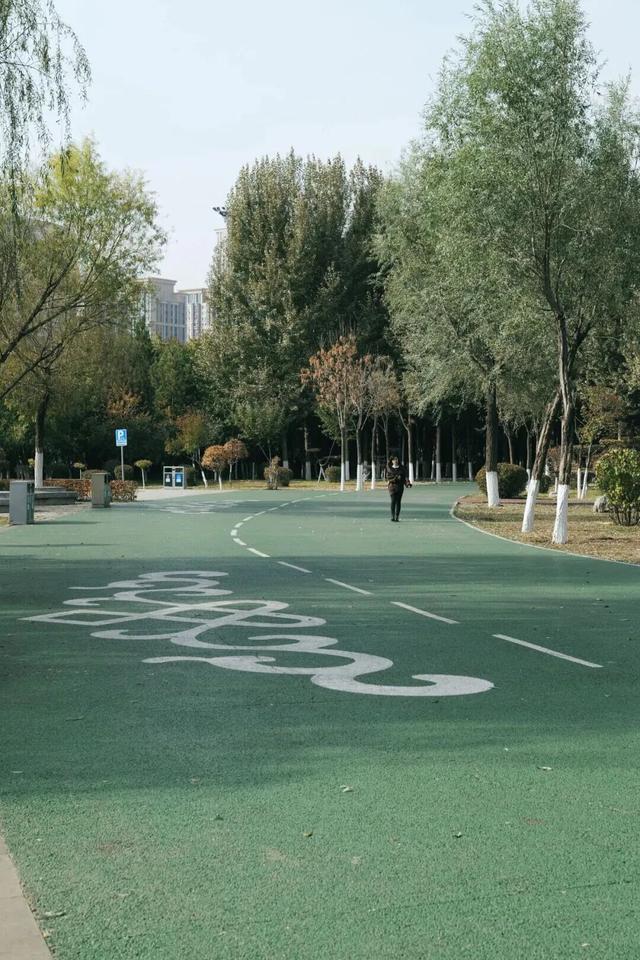 美到犯规！青城的秋，从不偏心南北