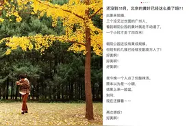 大促|| 太开心了！买到了超喜欢的外套图片