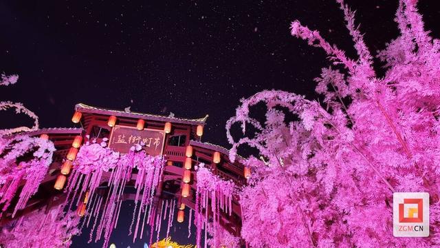 第32届自贡国际恐龙灯会盛大开幕 游客沉醉灯海直呼震撼