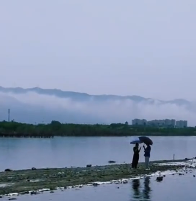 关掉BGM吧！这个夏天，运城大自然的声音比任何音乐都动人