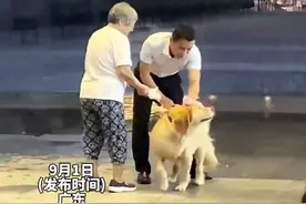 网友拍下的温暖一幕！奶奶带着狗狗到商场门口避雨，商场保安拿来毛巾给狗狗擦身上的雨水，网友:生活中总有一些举动温暖人心图片