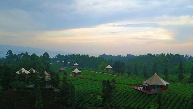 全川“秋假”看名山！这份“亲子游”全攻略，承包你的诗与远方！