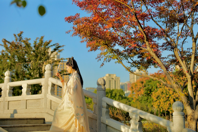 美绝！西安初冬的含金量还在上升！