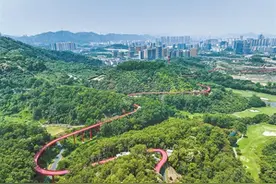 新发现！三个国家级保护物种现身光明！图片