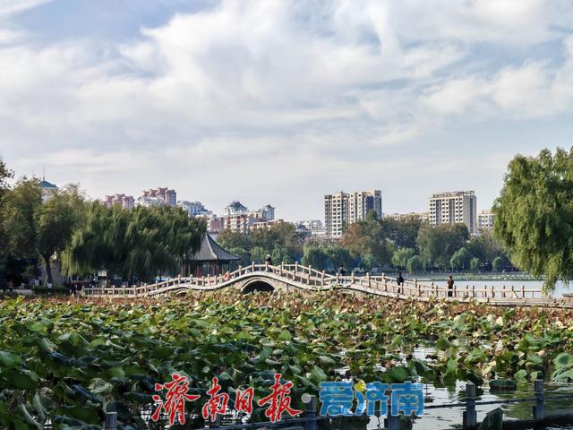 一年四季 泉在济南丨大明湖游人如织 秋意正浓
