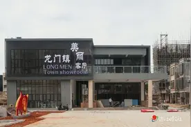 雷州市：聚焦典型镇村建设 激发县域经济活力图片