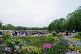 春花有约！海淀这里已经浪漫到了next level图片