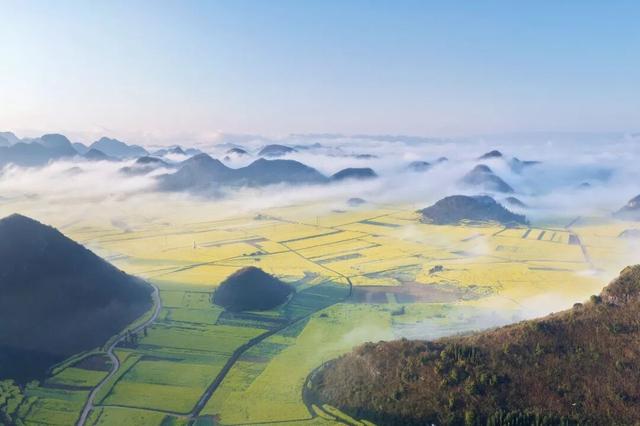 世界最大的自然天成花园｜曲靖罗平早春限定画卷
