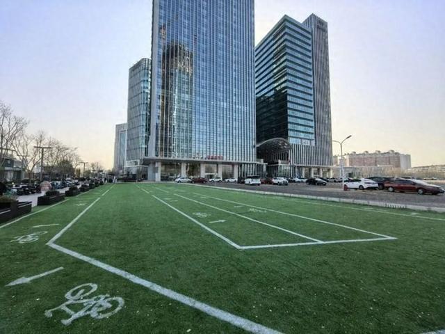 北京号最精彩 | 太惊喜！京城第一波蜡梅开啦！位置就在——