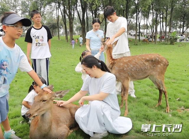国庆中秋双节“热”力足，湖南常德野生动物世界成文旅新地标