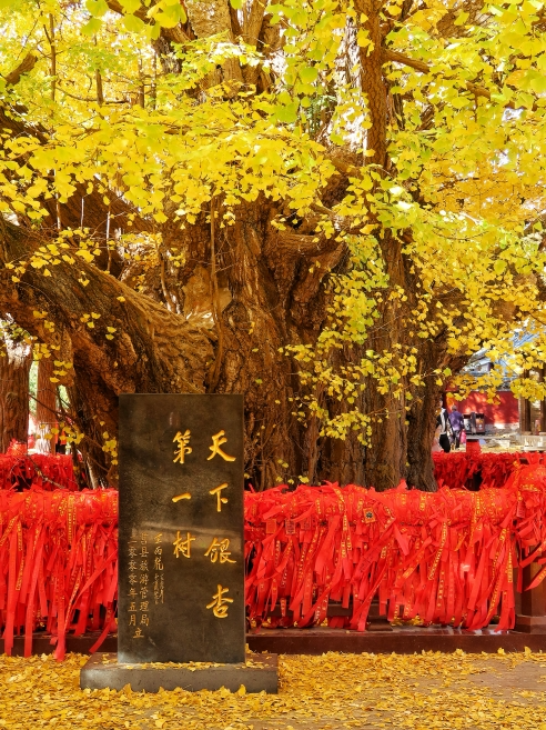 低调了千年！是时候重新认识一下莒县了！