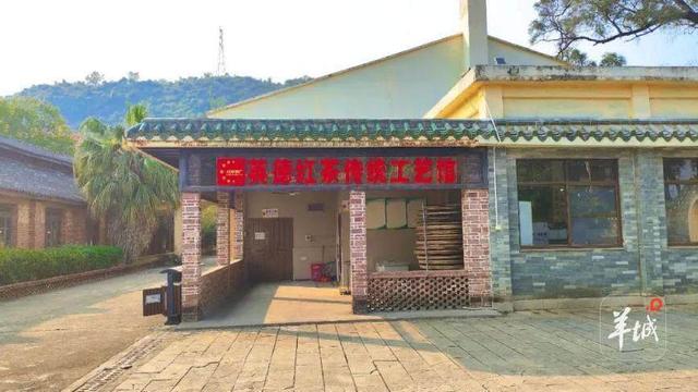 省级推荐！清远两条线路实力入选！