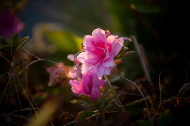 @0731，一组绿心秋色卡，请查收！