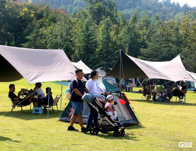 浮山草坪“长”满帐篷，青岛人的国庆浪漫藏在绿意里