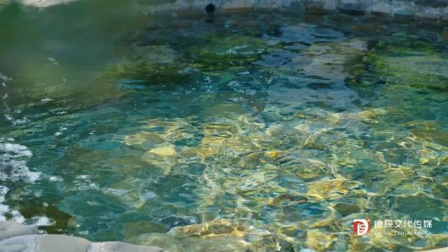 初冬“回血”指南，一起解锁自然疗愈之旅