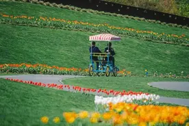 春日宝藏骑行路线，适合现在去！图片