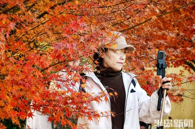 世博园冬色斑斓，暖阳周末醉游人