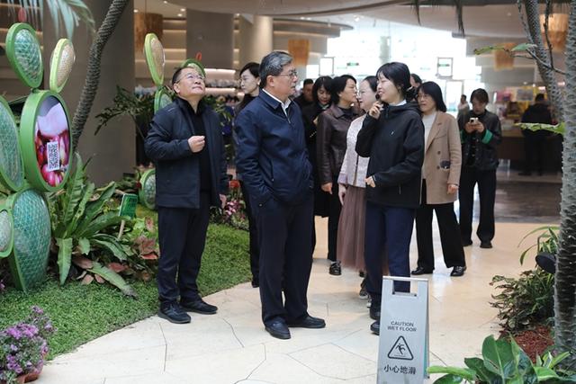 深耕黄河文化，起步区求解文旅“长红”必答题