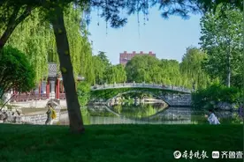 读懂济南|免费开放七年，大明湖为济南带来了什么图片