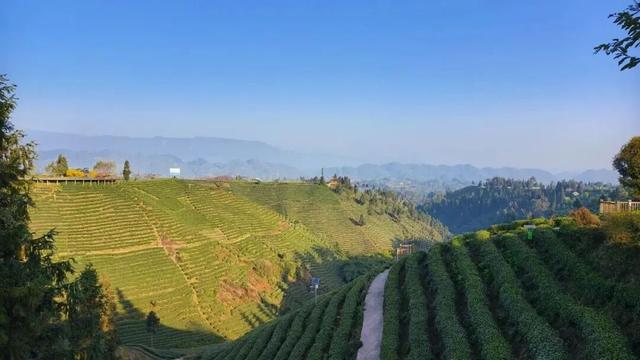 茶山美宿，安逸悠闲的秋假攻略请收好~