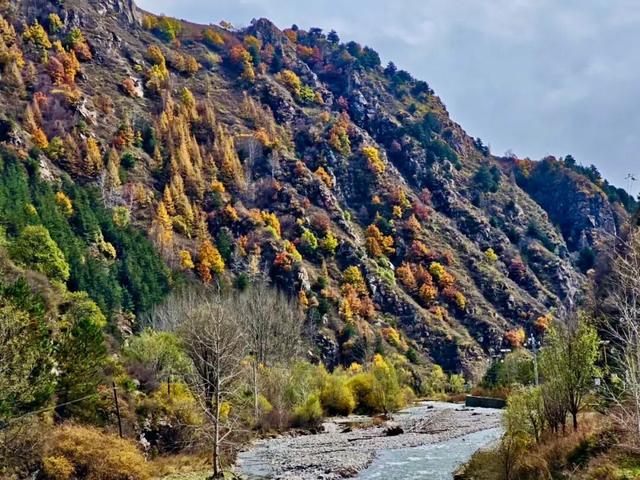 五台山的秋天，太治愈了！