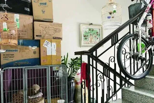 悲痛！一住宅突发火灾，已致8人遇难、4人送医！