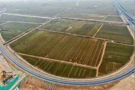 济南至宁津高速公路工程表白寺枢纽第一阶段转序顺利完成图片