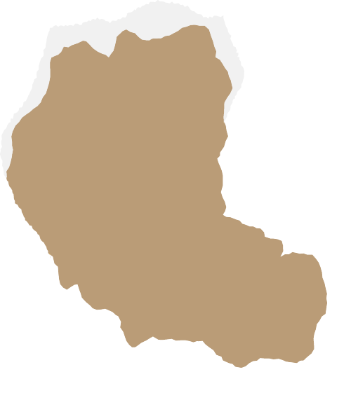 送电影票！金山这家影院正式开业