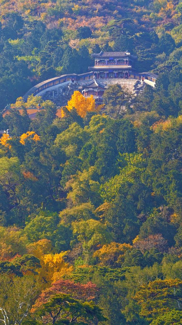 于香山叶脉间，读懂了这座城的秋天