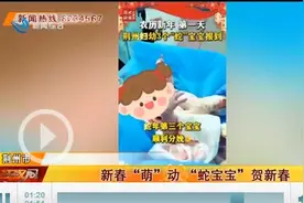 大年初一 “蛇宝宝”驾到图片