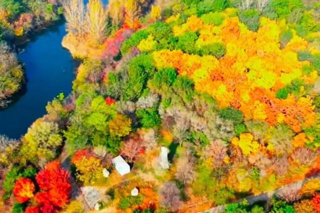 醉美坊子｜秋染小城，被时光温柔以待