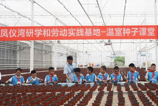 活力中国调研行｜南充文旅新花样：“丝”滑出圈，“湾”住游客心！