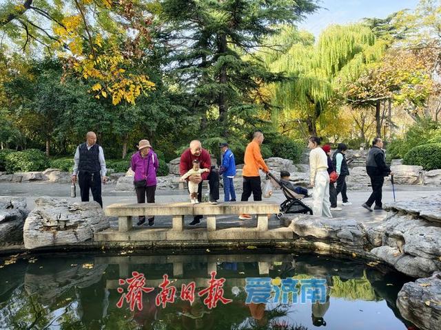 一年四季 泉在济南丨赴一场冬日湖畔之约，且看诗意的泉城济南