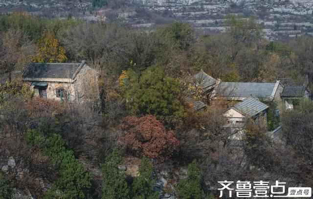 壹点号·秀山东丨淄博牛记庵：秋色浸染古村落，金黄火红映石巷