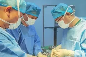 陈希龙：显微镜下操刀，有“两把刷子”图片