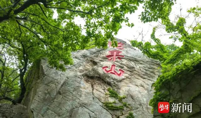 大王叫你来巡山!连云港花果山邀您参加新年登山赛
