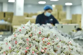 从花草茶到固体饮料，亳州如何弯道超车？图片