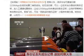 实用帖！假期出行忘带身份证咋办图片