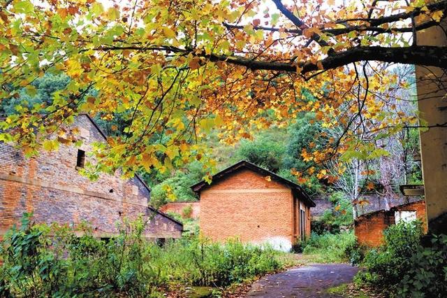 深秋里的工业“遗梦”与金叶“私语”