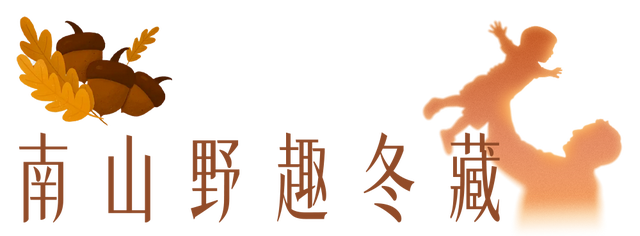 秋冬盛宴来袭，6条宝藏线路玩转杭城！