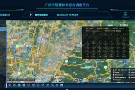 卫星监测、无人机巡山！广州“硬核”筑牢清明森林防火墙图片