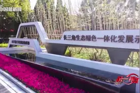 第一视点丨一步一步往前走 一项一项往前推——深入推进长三角一体化发展综述图片