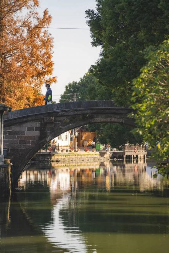 人在画中游！来上海郊野，骑进自然乡野秋韵里